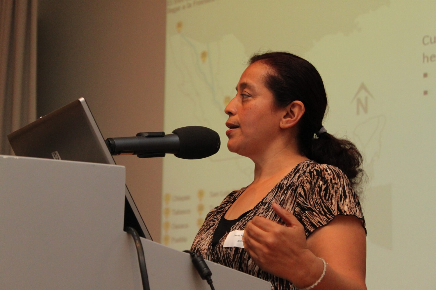 Cécilia Pcasangre at the lectern of the conference Hart an der Grenze at the Hotel Kreuz in Bern.