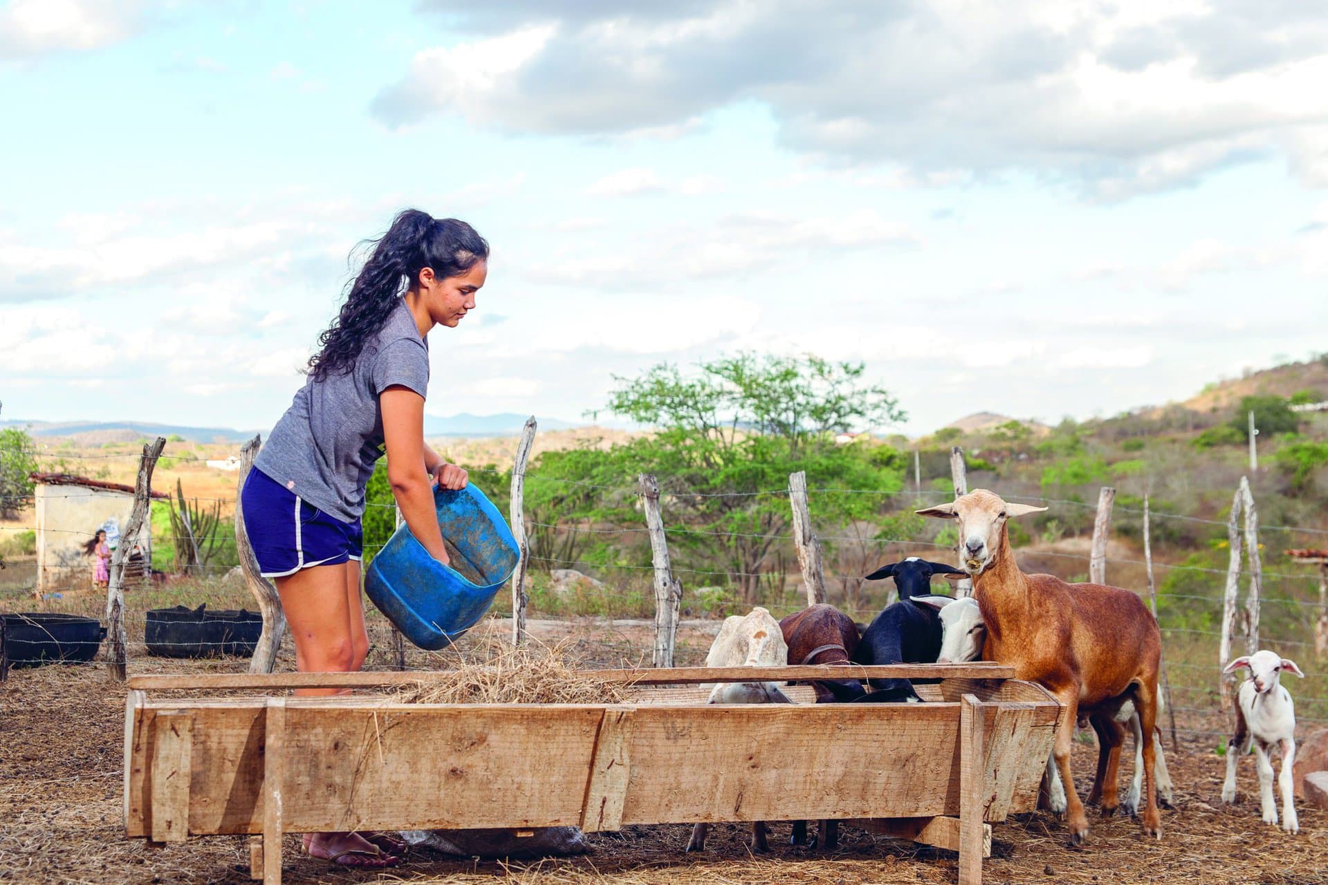 youth contribution environmental protection brazil