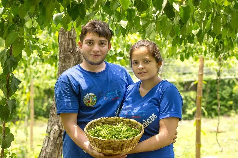 Young-woman-and-young-man-holding-a-basket-with-vegetables-in-hand